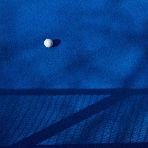 Photo #11338569