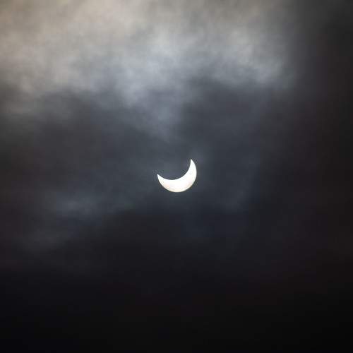 Photo #11338640