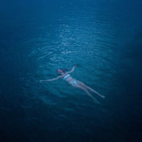 Photo #11338656