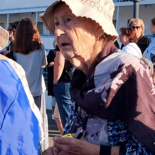 Photo #11338671