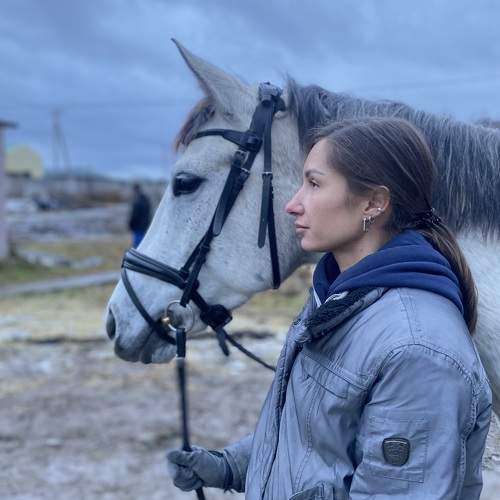 Photo #11338765