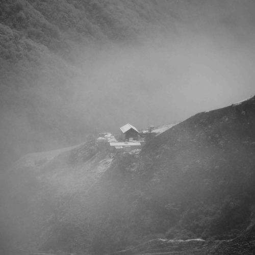 Photo #11338859