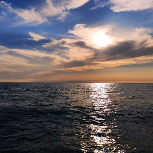 Photo #11338925