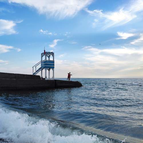 Photo #11338946