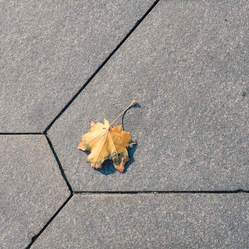 Photo #11339107