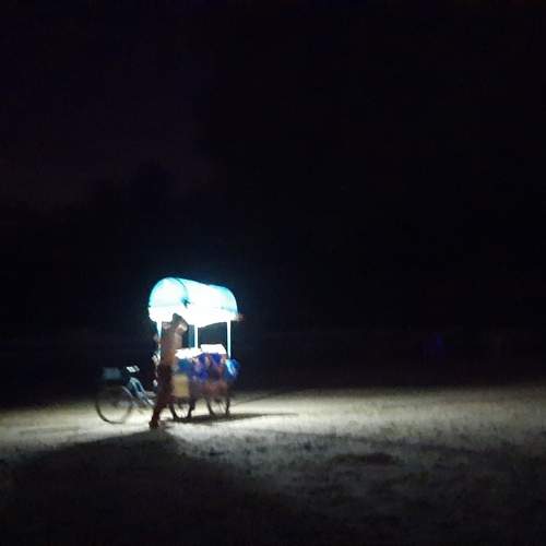 Photo #11339240