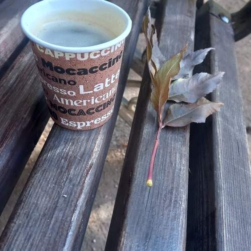 Photo #11339259