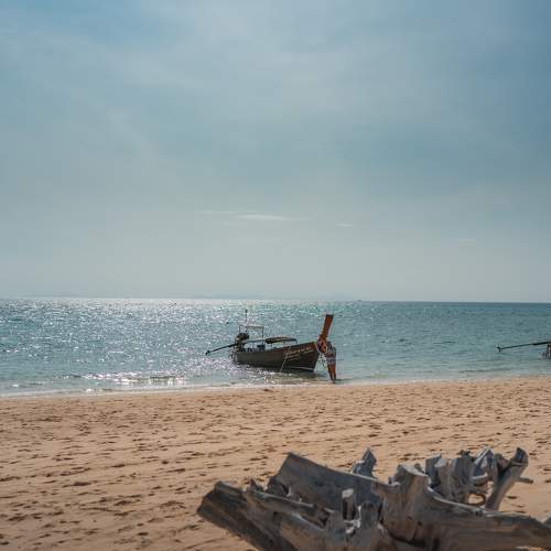 Photo #11339260