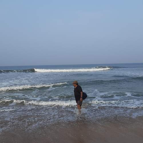 Photo #11339264