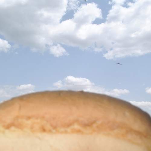 Photo #11339327