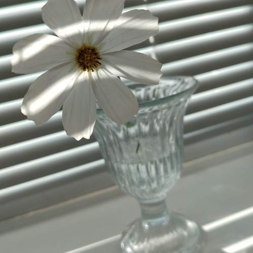 Photo #11339337