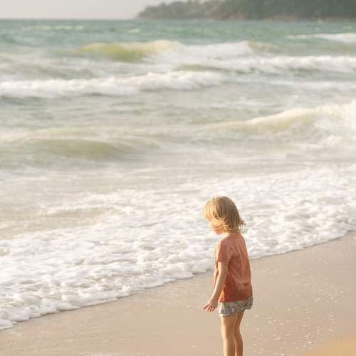 Photo #11339592