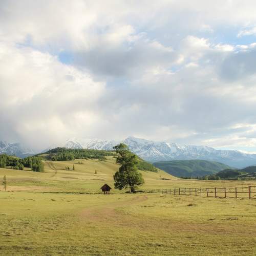 Фотография #11339616