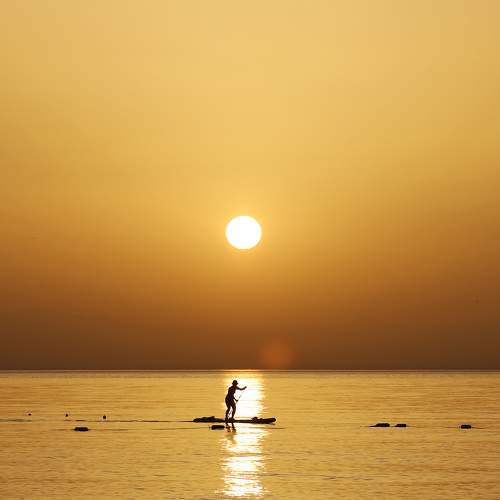 Photo #11339695