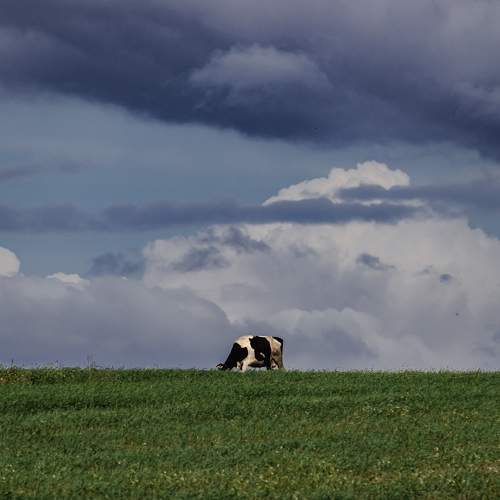 Photo #11339732