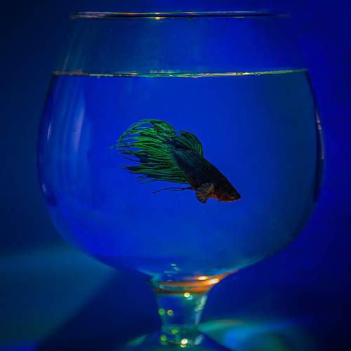 Фотография #11340213