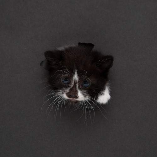 Фотография #11340352