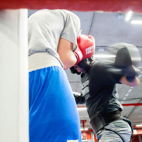 Photo #11340394