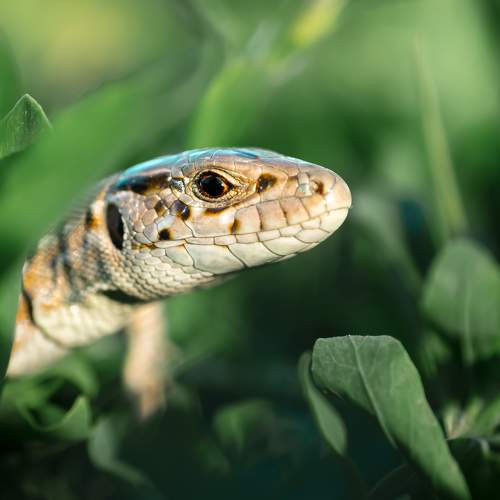 Photo #11340424