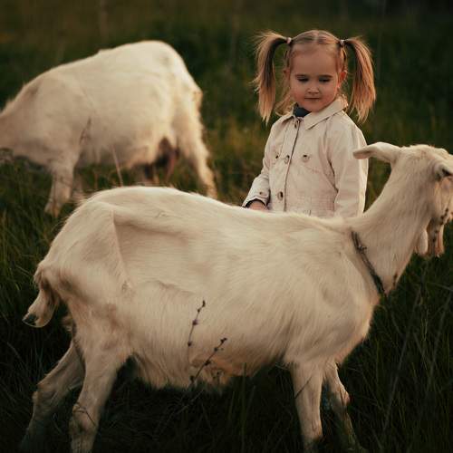 Photo #11340637