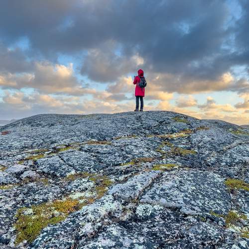 Photo #11340762