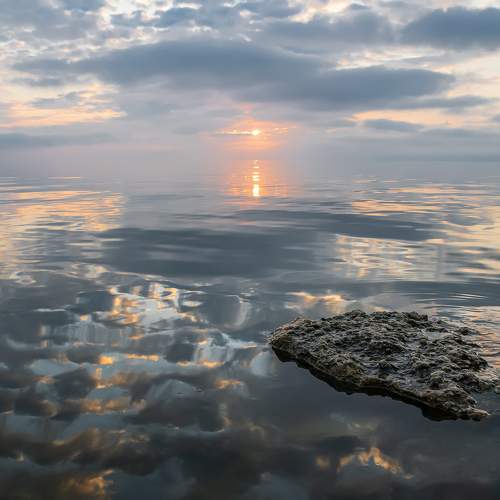 Photo #11340992