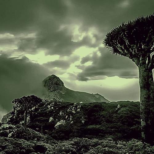 Photo #11341059