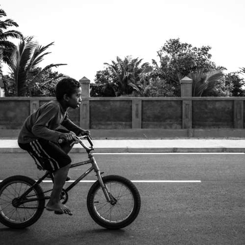 Photo #11341263