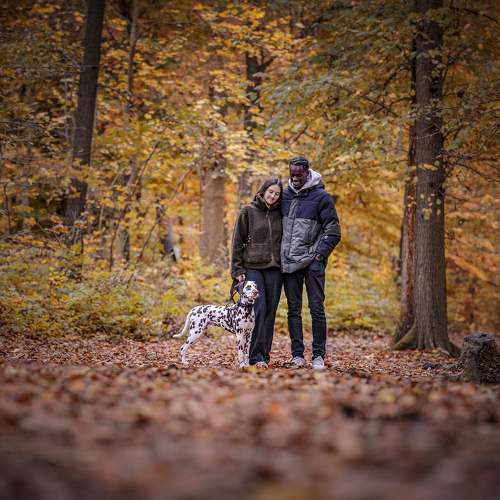 Photo #11341468