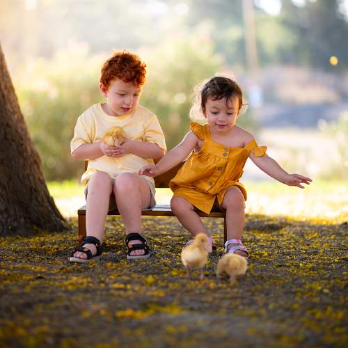 Photo #11341607