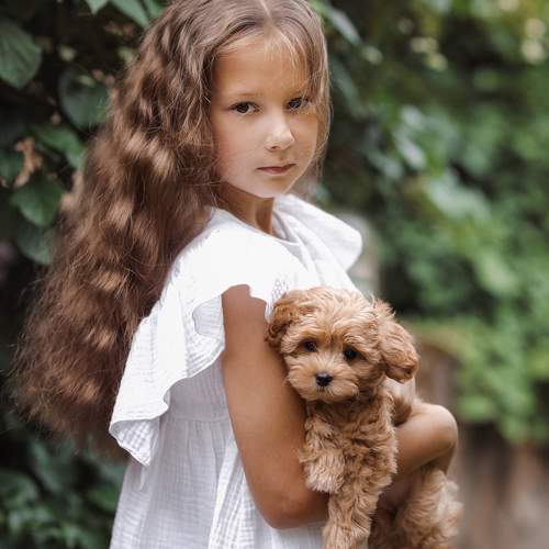 Photo #11341967
