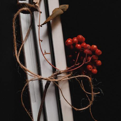 Photo #11341974