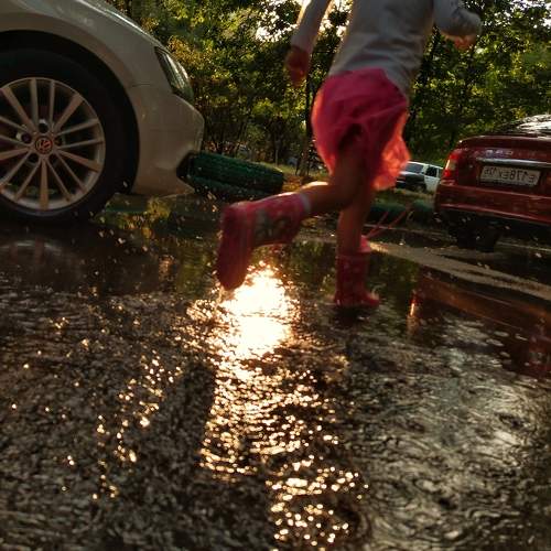 Photo #11342033