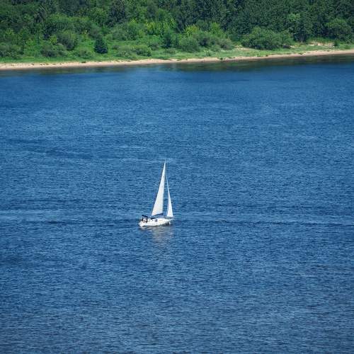 Photo #11342095