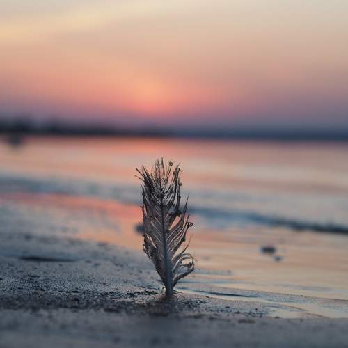 Photo #11342136