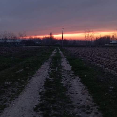 Photo #11342397