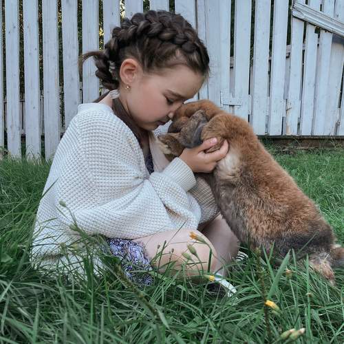 Photo #11342486
