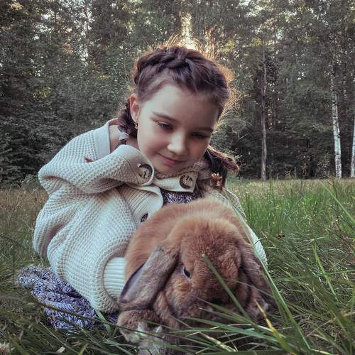 Photo #11342488