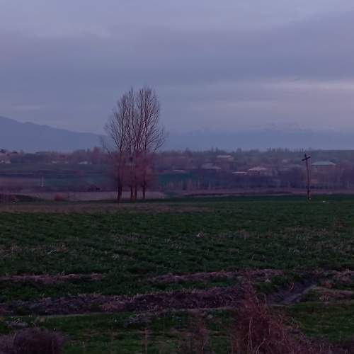 Photo #11342539