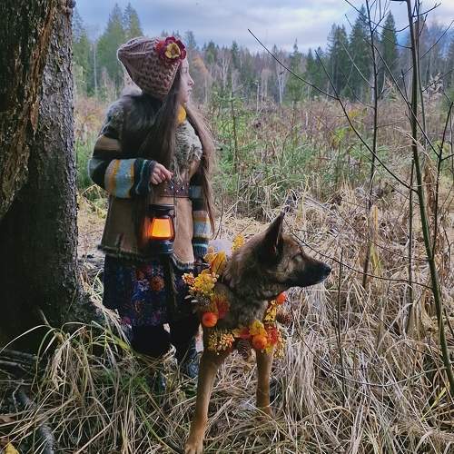 Photo #11342733