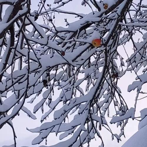 Photo #11342799