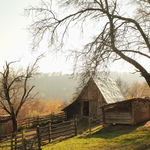 Photo #11342932