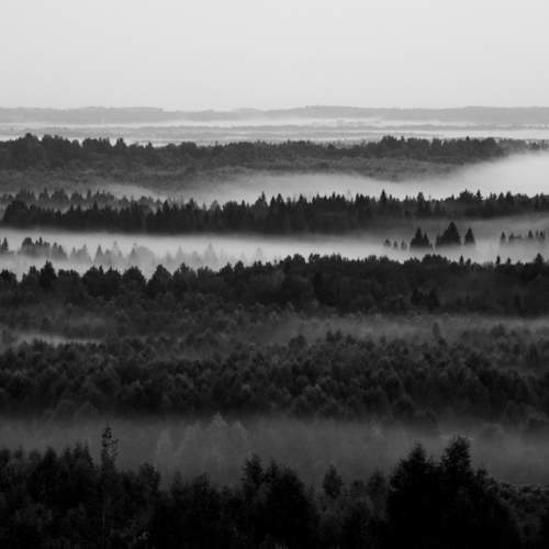 Photo #11342950