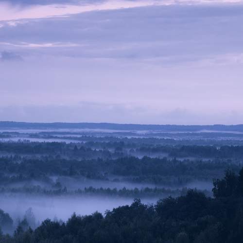 Photo #11342955