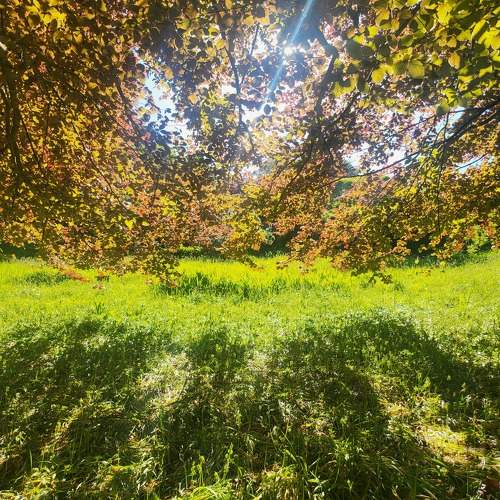 Photo #11343144