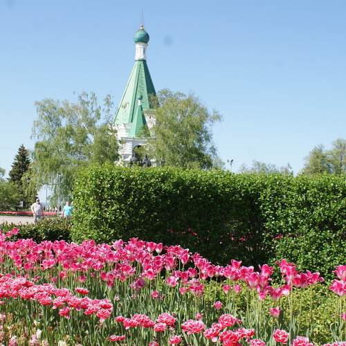Photo #11343247