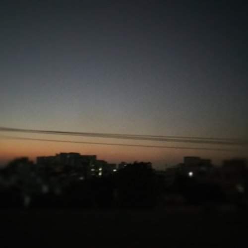 Photo #11343407