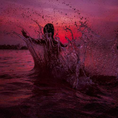 Photo #11343680