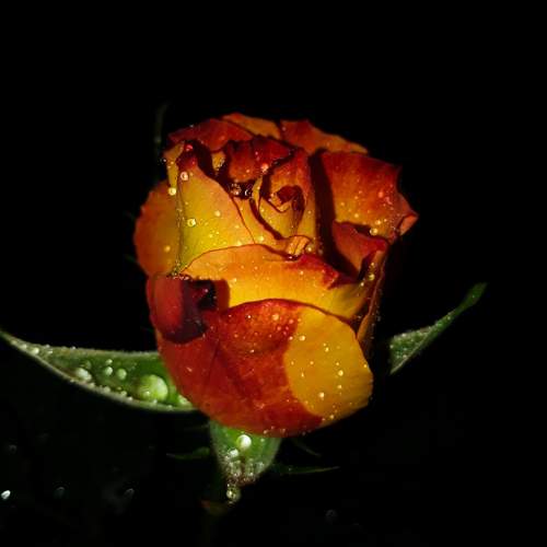 Photo #11343965