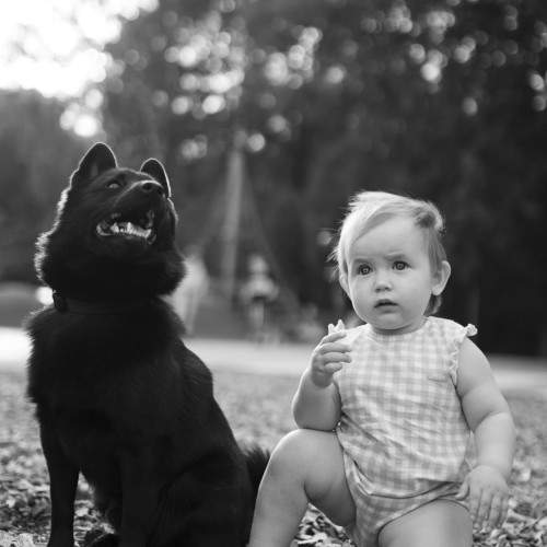 Photo #11344176